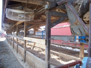 Bissell Farm Machinery Auction featured photo 54