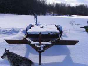 Stratton Farm Auction featured photo 39