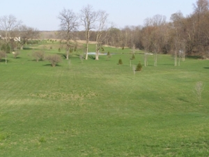 Miller Seeding & Landscaping featured photo 3