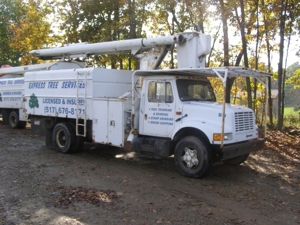 Express Tree Service featured photo 1