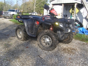 Express Tree Service featured photo 8