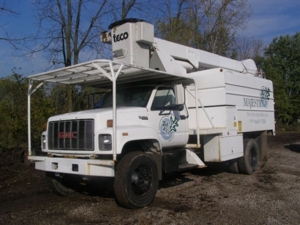 Express Tree Service featured photo 6