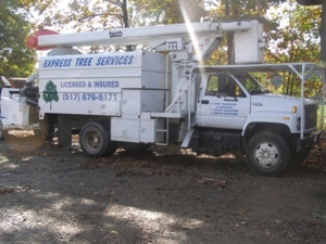 Express Tree Service featured photo 20