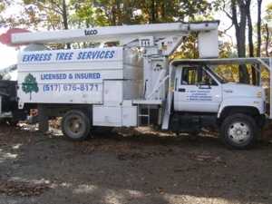 Express Tree Service featured photo 21