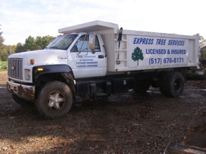 Express Tree Service featured photo 24