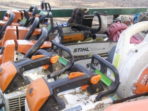 Express Tree Service featured photo 42