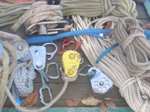 Express Tree Service featured photo 47