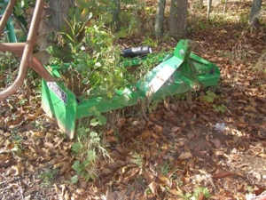 Express Tree Service featured photo 51