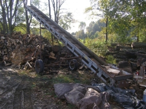 Express Tree Service featured photo 70