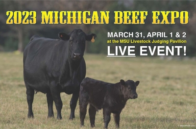 Michigan Beef Expo 2023 featured photo