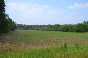80A offered in 2 Tracts, Beard Rd, Shiawassee County featured photo 3