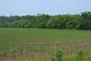 80A offered in 2 Tracts, Beard Rd, Shiawassee County featured photo 4
