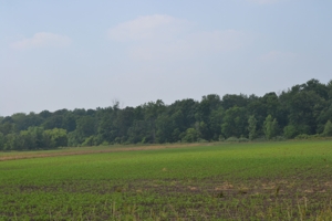 80A offered in 2 Tracts, Beard Rd, Shiawassee County featured photo 9