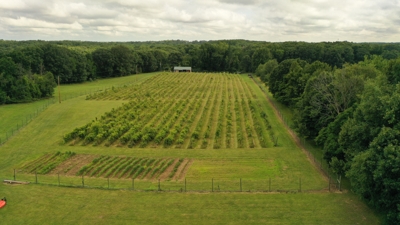 Eschol Valley 40+/- Acre Farm Land Auction, Haslett, Shiawassee County featured photo