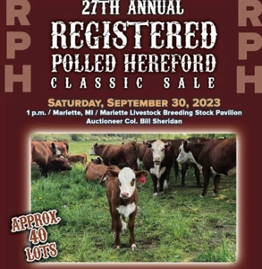 27th Annual Registered Polled Hereford Classic Sale featured photo