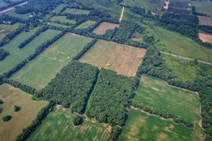 154± Acres in 2 Tracts, Jackson County- Donald N. Abbott Estate featured photo 7