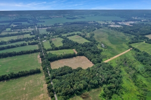 154± Acres in 2 Tracts, Jackson County- Donald N. Abbott Estate featured photo 9