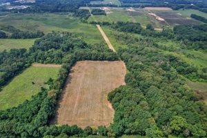154± Acres in 2 Tracts, Jackson County- Donald N. Abbott Estate featured photo 14