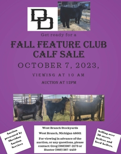 Fall Feature Club Calf Sale featured photo