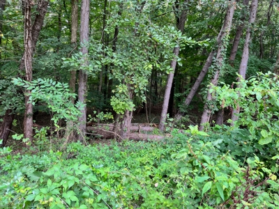 7888 Brown Rd. Parma, MI - 1,784 sq. ft home on 3.32 acres featured photo 10