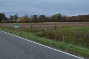 80A offered in 2 Tracts, Beard Rd, Shiawassee County featured photo 13