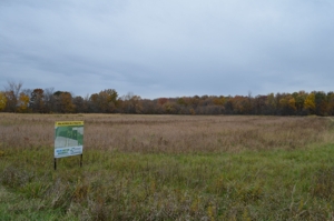 80A offered in 2 Tracts, Beard Rd, Shiawassee County featured photo 15