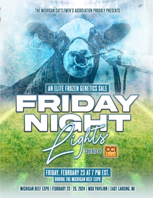 Friday Night Lights featured photo 1