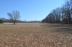 15 Vacant Acres featured photo 5