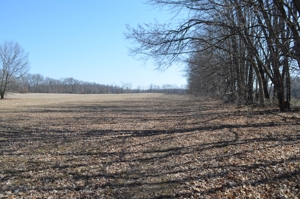 15 Vacant Acres featured photo 6