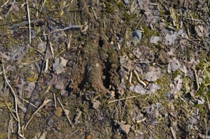 15 Vacant Acres featured photo 10