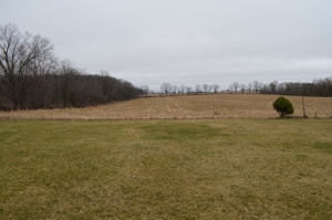 1815 S College Rd, Mason, MI featured photo 62