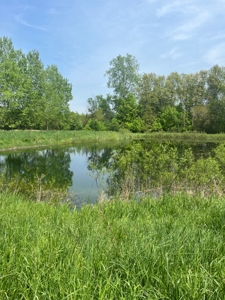 Kowalski Family Farm 170 Acres offered in 2 Tracts featured photo 2