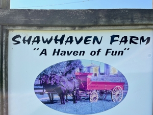 Shawhaven Farms Machinery and Agritainment featured photo 13