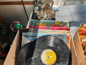 McDiarmid Living Estate featured photo 11