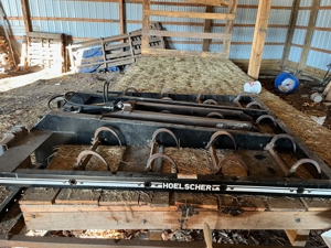 Charlie's Christmas Tree Farm featured photo 9