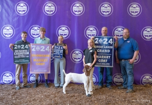 Michigan Livestock Expo Sale-A-Bration 2025 featured photo 7