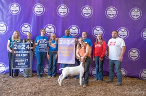 Michigan Livestock Expo Sale-A-Bration 2025 featured photo 8