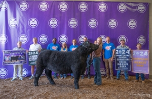 Michigan Livestock Expo Sale-A-Bration 2025 featured photo 23