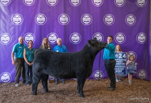 Michigan Livestock Expo Sale-A-Bration 2025 featured photo 24