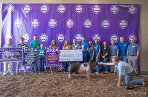 Michigan Livestock Expo Sale-A-Bration 2025 featured photo 28