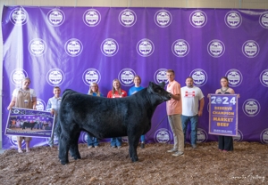 Michigan Livestock Expo Sale-A-Bration 2025 featured photo 30