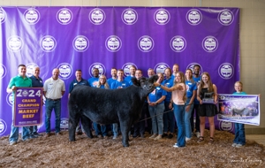 Michigan Livestock Expo Sale-A-Bration 2025 featured photo 36