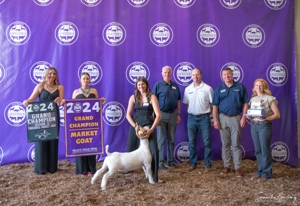 Michigan Livestock Expo Sale-A-Bration 2025 featured photo 38