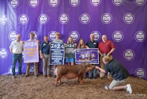 Michigan Livestock Expo Sale-A-Bration 2025 featured photo 39