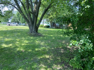 Owosso Vacant Lot featured photo 4